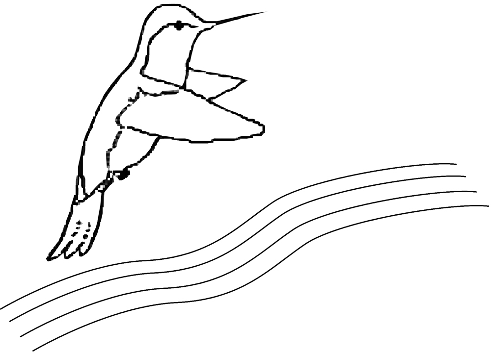 drawing of a hummingbird flying over a river